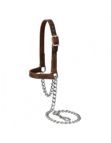 Water Buffalo Leather Goat Halter -...