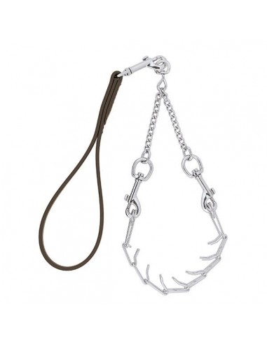 Pronged Chain Goat Collar and Lead Set