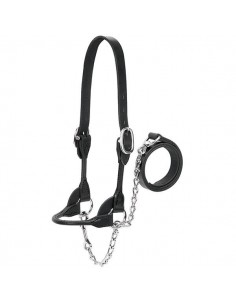 Dairy/Beef Rounded Show Halter
