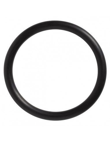 ProAir™ Blower Hose O Ring