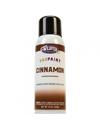 ProPaint Cinnamon