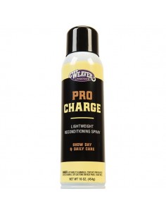 ProCharge Aerosol