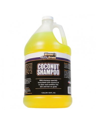 Coconut Shampoo - Gallon