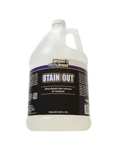 Stain Out - Gallon