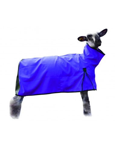 Sheep Blanket, Mesh Butt