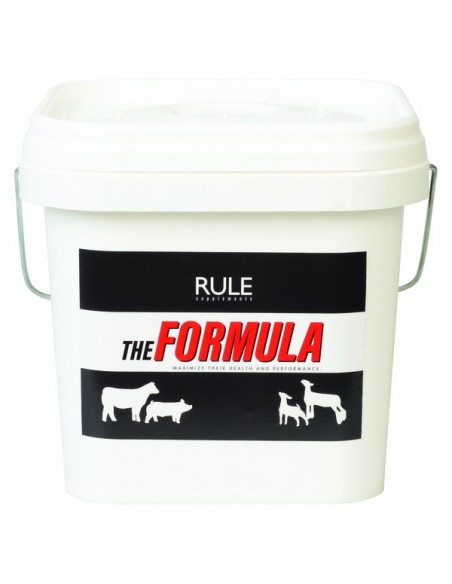Rule Supplements