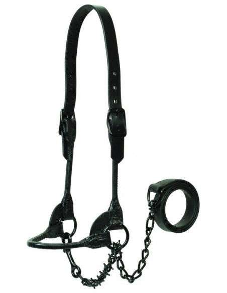 Leather Show Halters